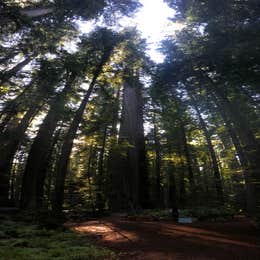 Hidden Springs Campground