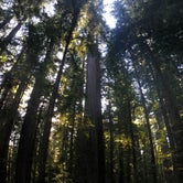 Review photo of Hidden Springs Campground — Humboldt Redwoods State Park by Rachel A., January 1, 2021