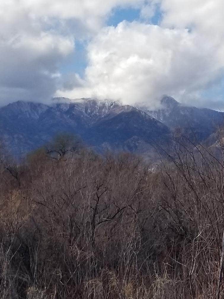 Camper-submitted photo at Cottonwood Campground — Roper Lake State Park near Safford, AZ