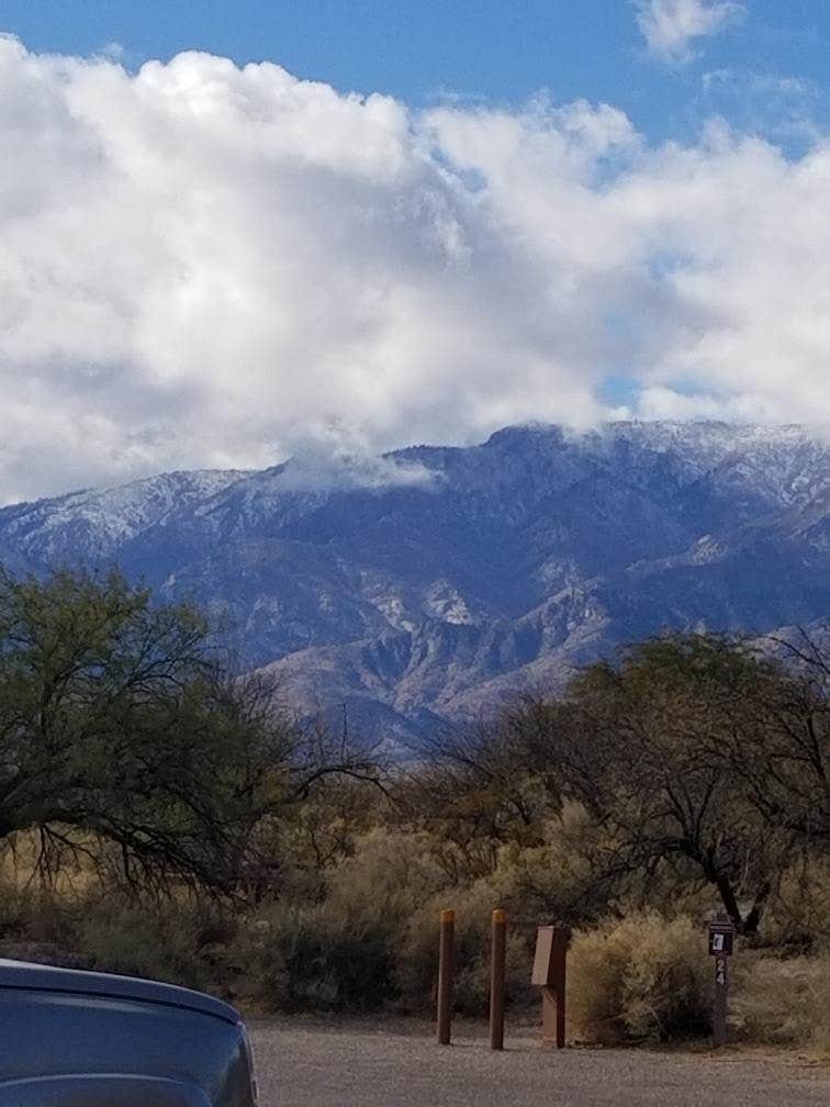 Camper-submitted photo at Cottonwood Campground — Roper Lake State Park near Safford, AZ