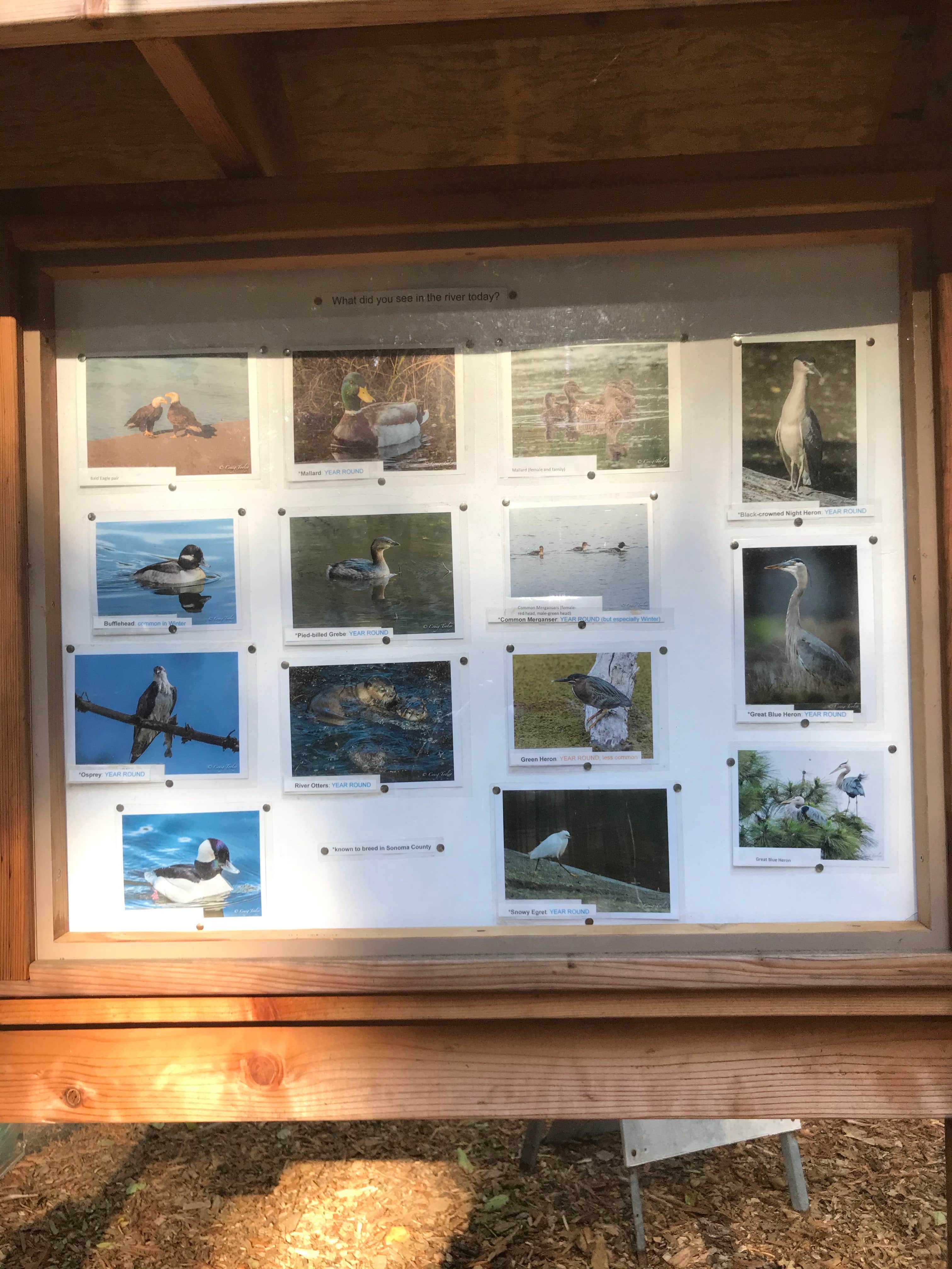 Camper-submitted photo at Gualala Point Regional Park near Gualala, CA