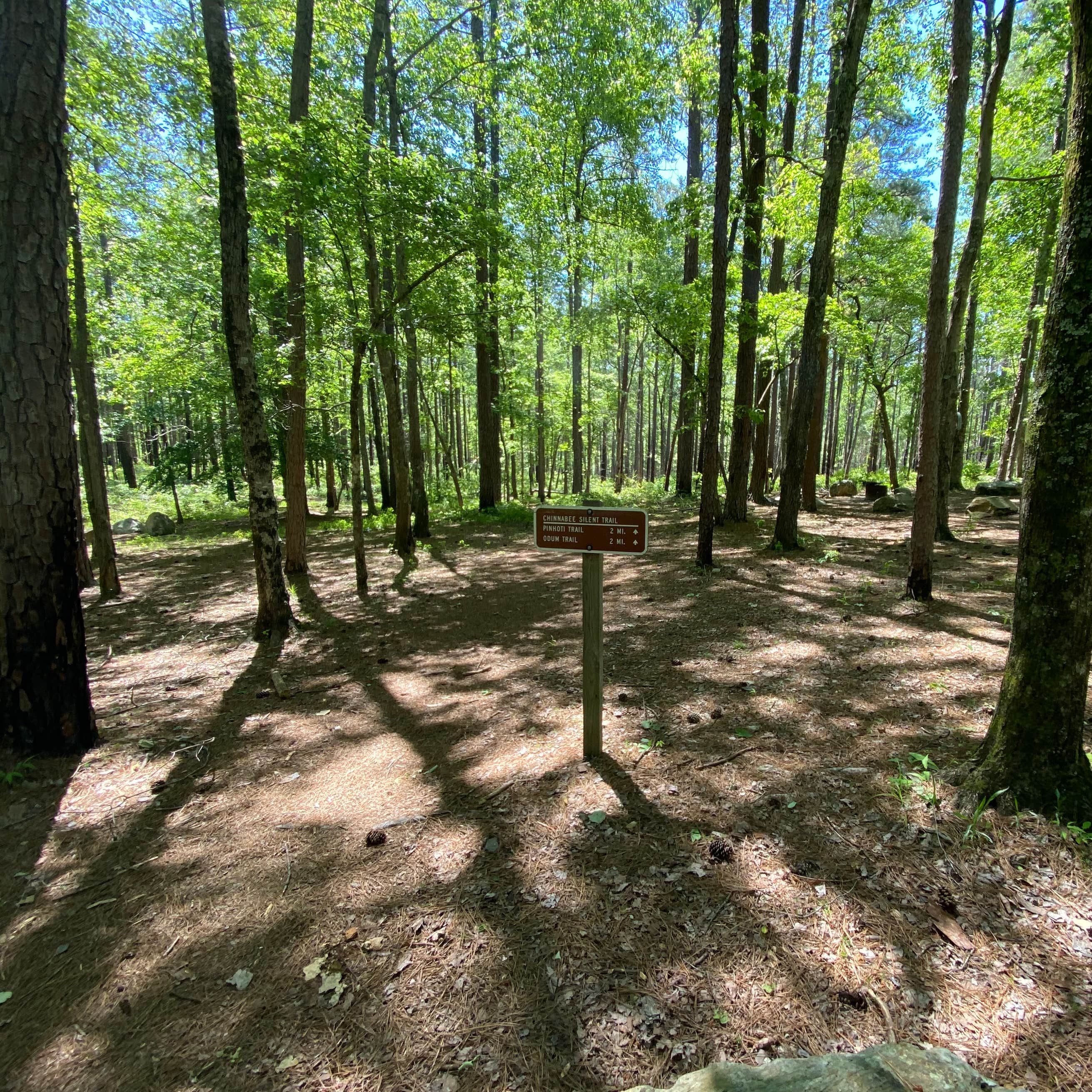 Turnipseed Campground Munford, AL