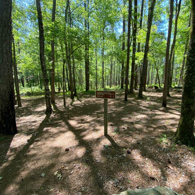 Turnipseed Campground Munford, AL