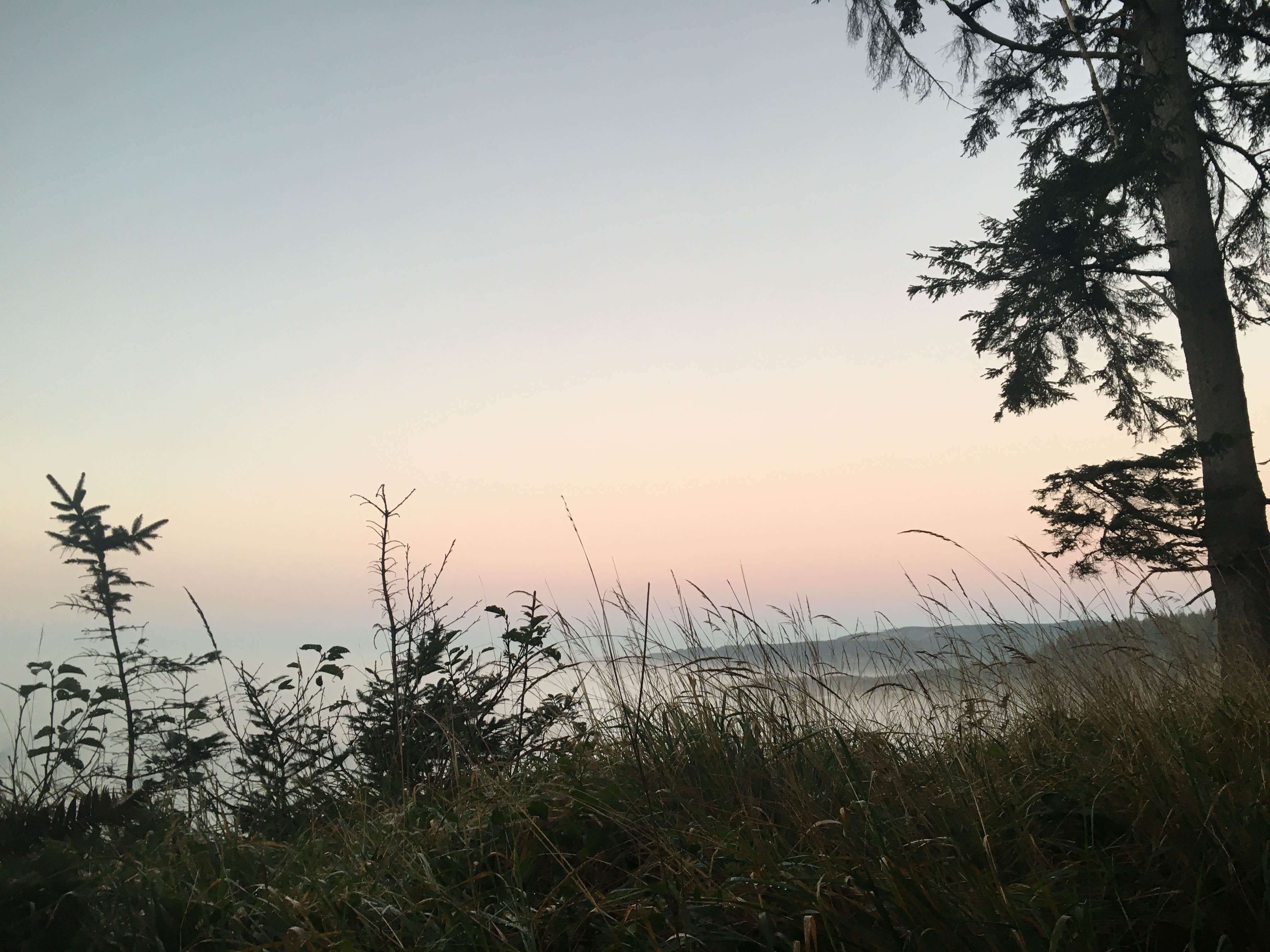 View All