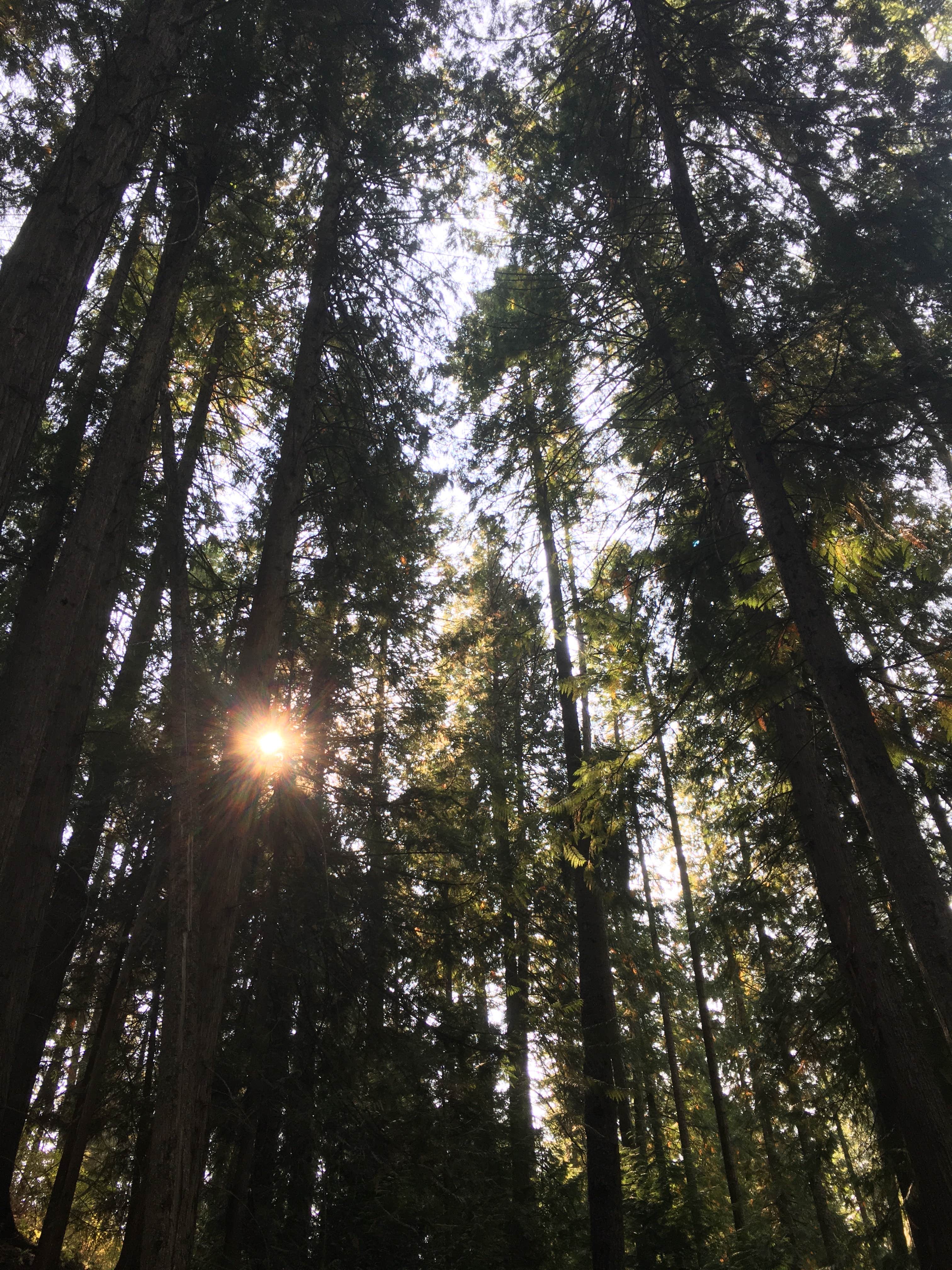 Camper-submitted photo at Sylvan Harbor RV Park & Cabins near Loleta, CA