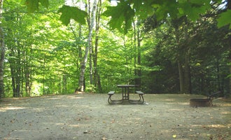 Camping near Singing Wood Farm : Elmore State Park Campground, Lake Elmore, Vermont