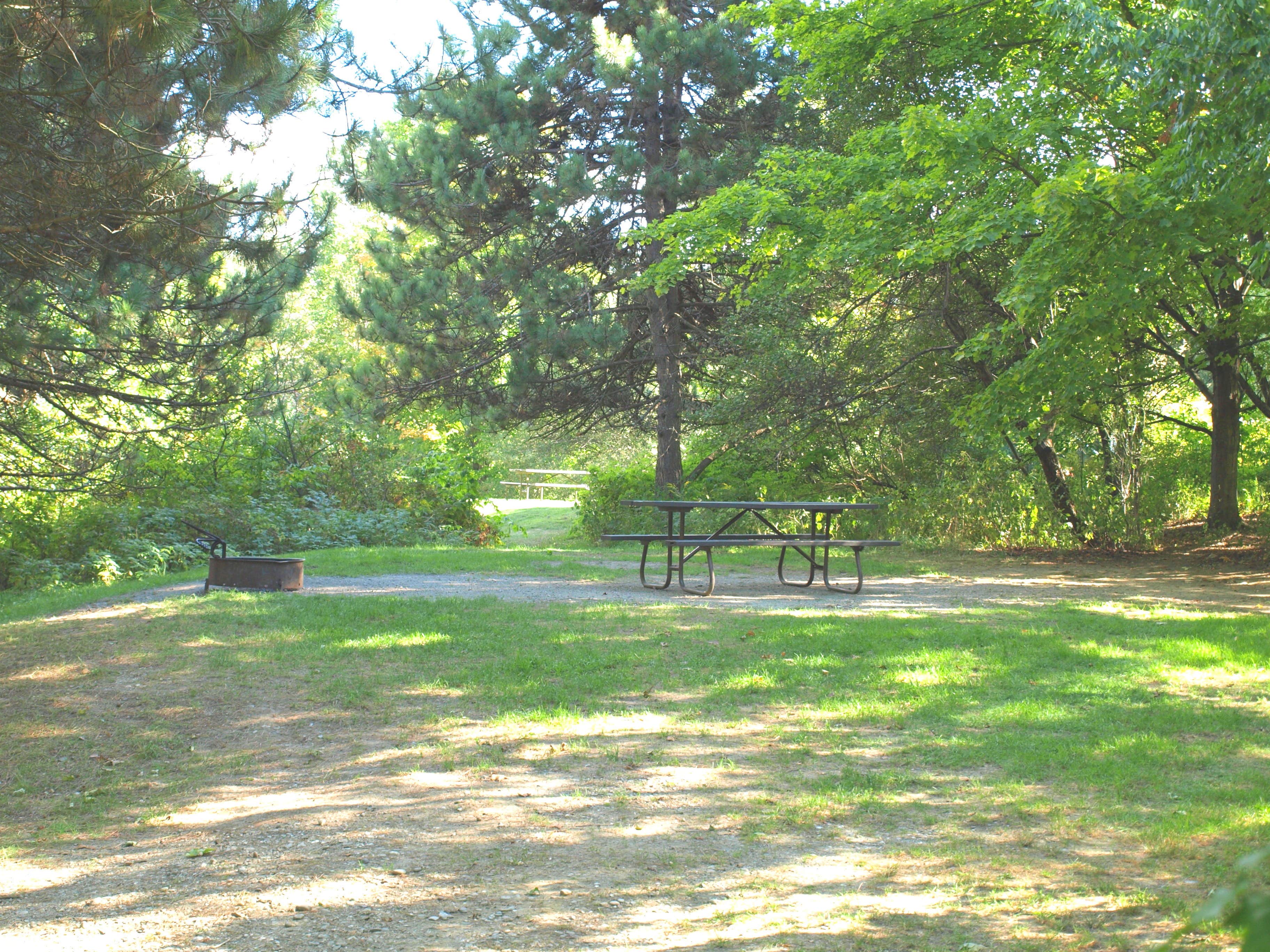 Camper-submitted photo at Elmore State Park Campground near Morrisville, VT