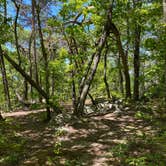 Review photo of Pinhoti Backcountry Campground near Odum Intersection by Asher K., January 1, 2021