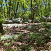 Review photo of Pinhoti Backcountry Campground near Odum Intersection by Asher K., January 1, 2021