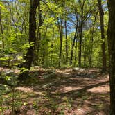 Review photo of Pinhoti Backcountry Campground near Odum Intersection by Asher K., January 1, 2021