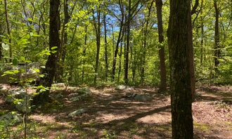 Camping near Skyway Loop Trail Turn Campground: Pinhoti Backcountry Campground near Odum Intersection, Lineville, Alabama