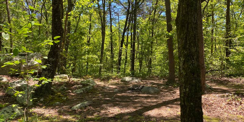 Camper submitted image from Pinhoti Backcountry Campground near Odum Intersection