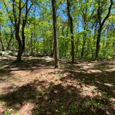 Review photo of Pinhoti Backcountry Campground near Odum Intersection by Asher K., January 1, 2021