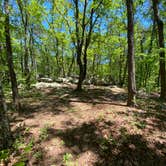 Review photo of Pinhoti Backcountry Campground near Odum Intersection by Asher K., January 1, 2021