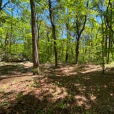 Review photo of Pinhoti Backcountry Campground near Odum Intersection by Asher K., January 1, 2021