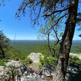 Review photo of Pinhoti Backcountry Campground near Odum Intersection by Asher K., January 1, 2021