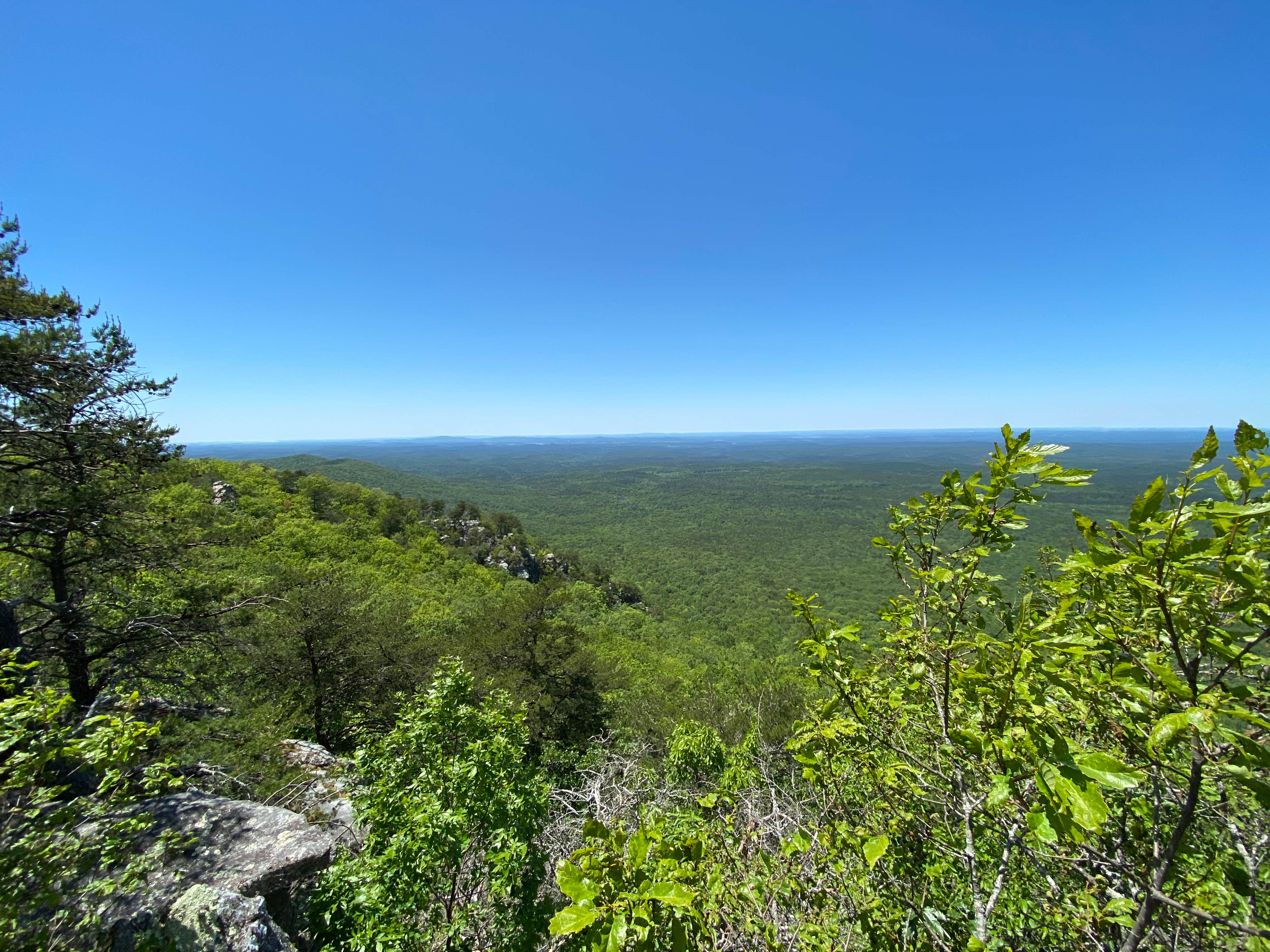 Camper-submitted photo at Pinhoti Backcountry Campground near Odum Intersection near Carrollton, GA