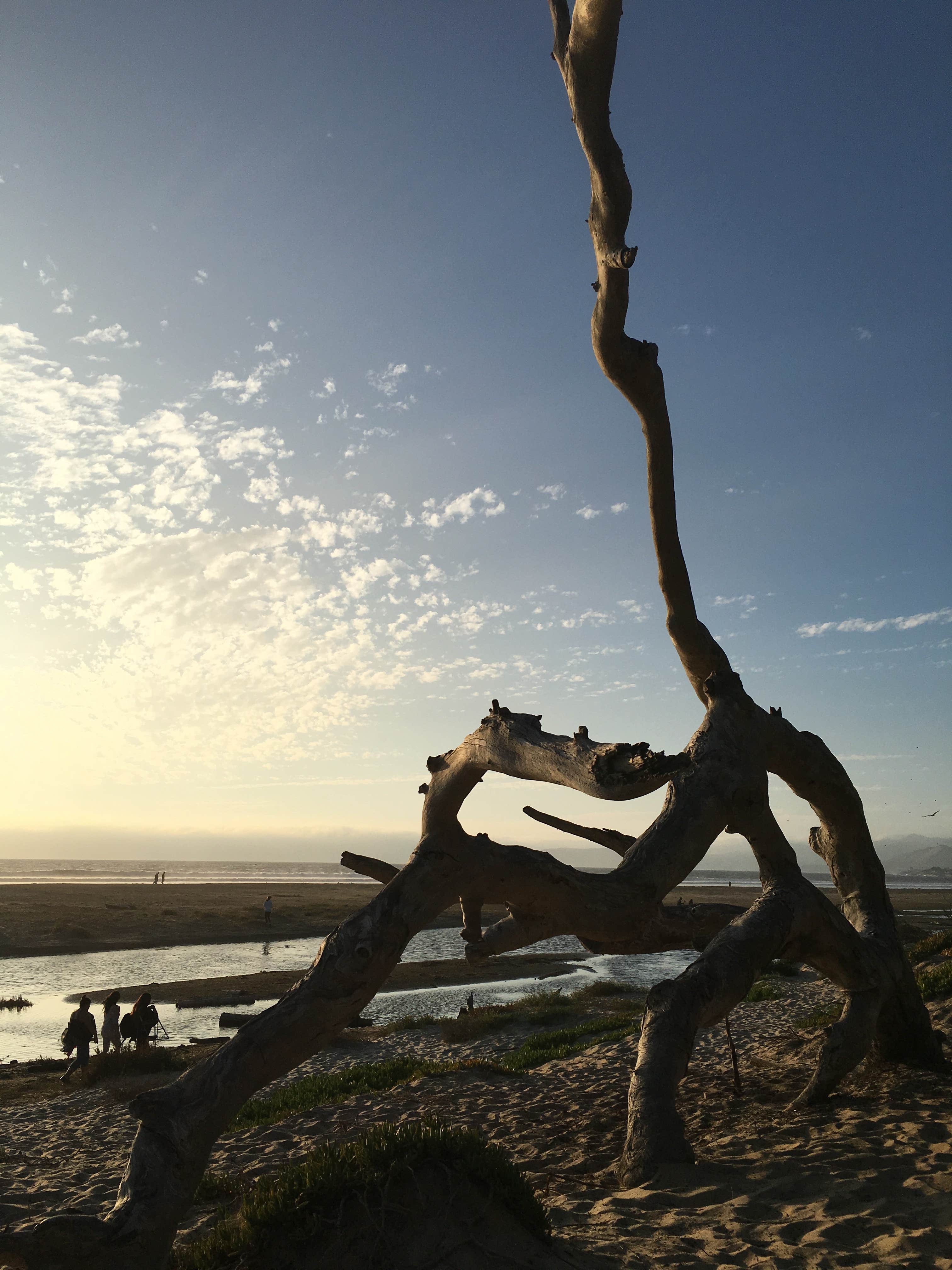 Camper-submitted photo at The Beachhouse RV Park near Templeton, CA