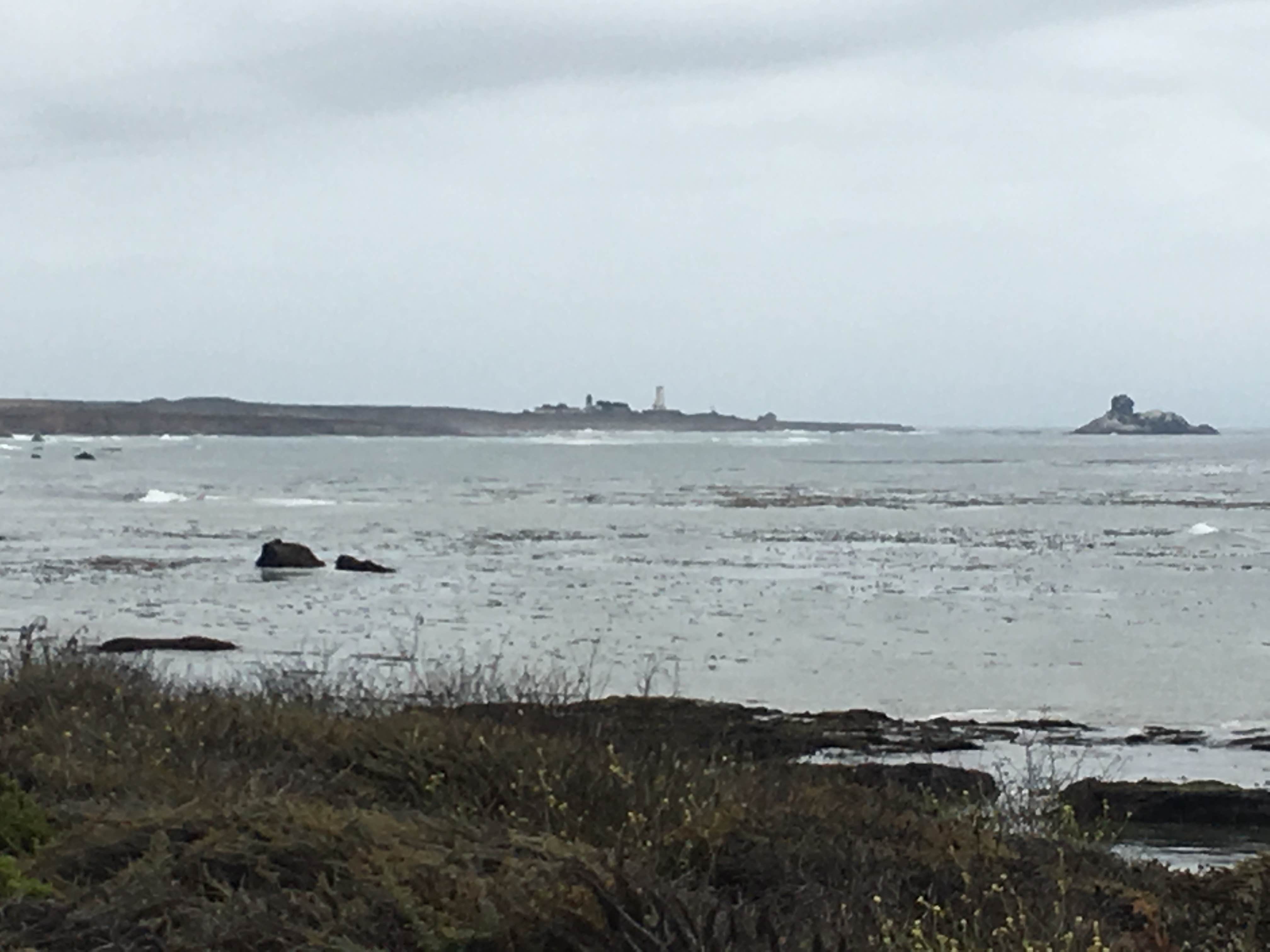 Camper-submitted photo at The Beachhouse RV Park near Templeton, CA