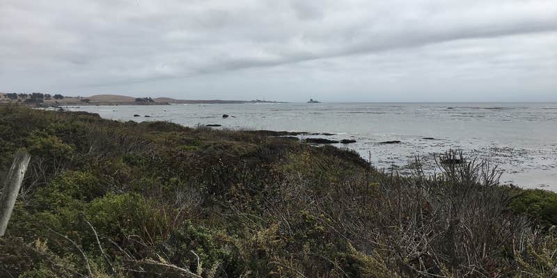 Camper submitted image from The Beachhouse RV Park