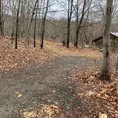 Review photo of Ward Pound Ridge Reservation by Ethan K., January 1, 2021