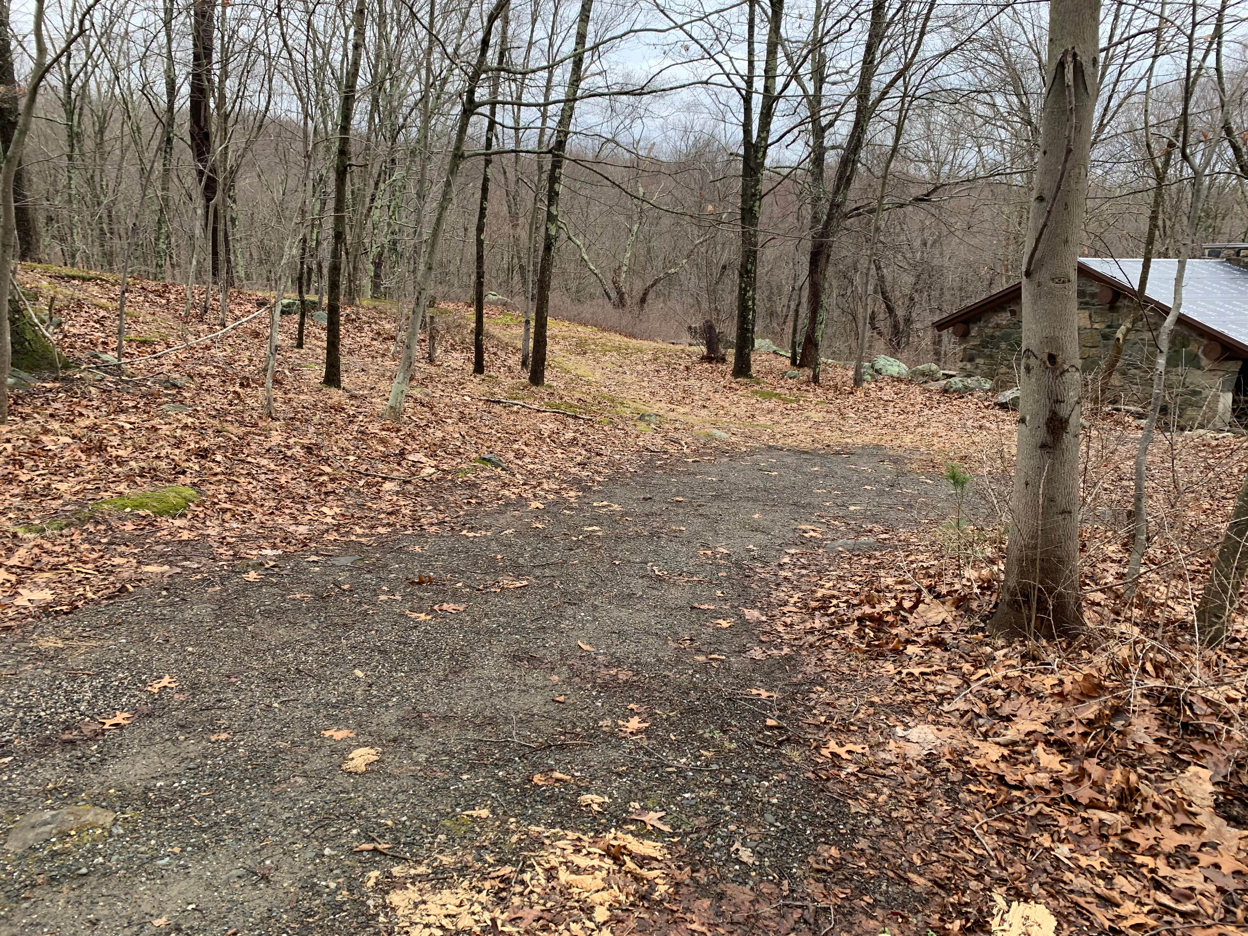 Camper submitted image from Ward Pound Ridge Reservation - 1