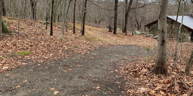 Camper submitted image from Ward Pound Ridge Reservation