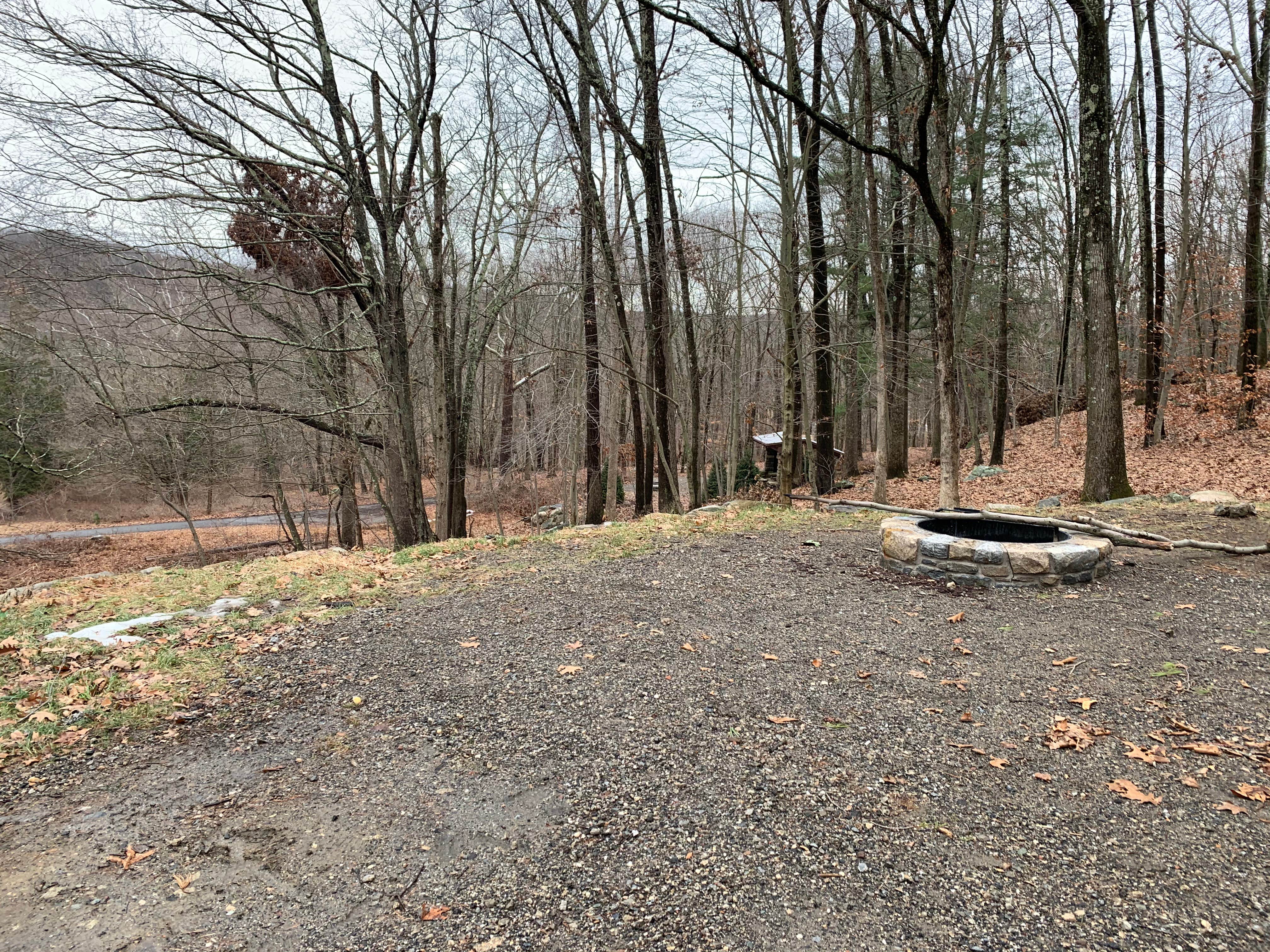 Camper-submitted photo at Ward Pound Ridge Reservation near Irvington, NY