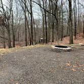 Review photo of Ward Pound Ridge Reservation by Ethan K., January 1, 2021