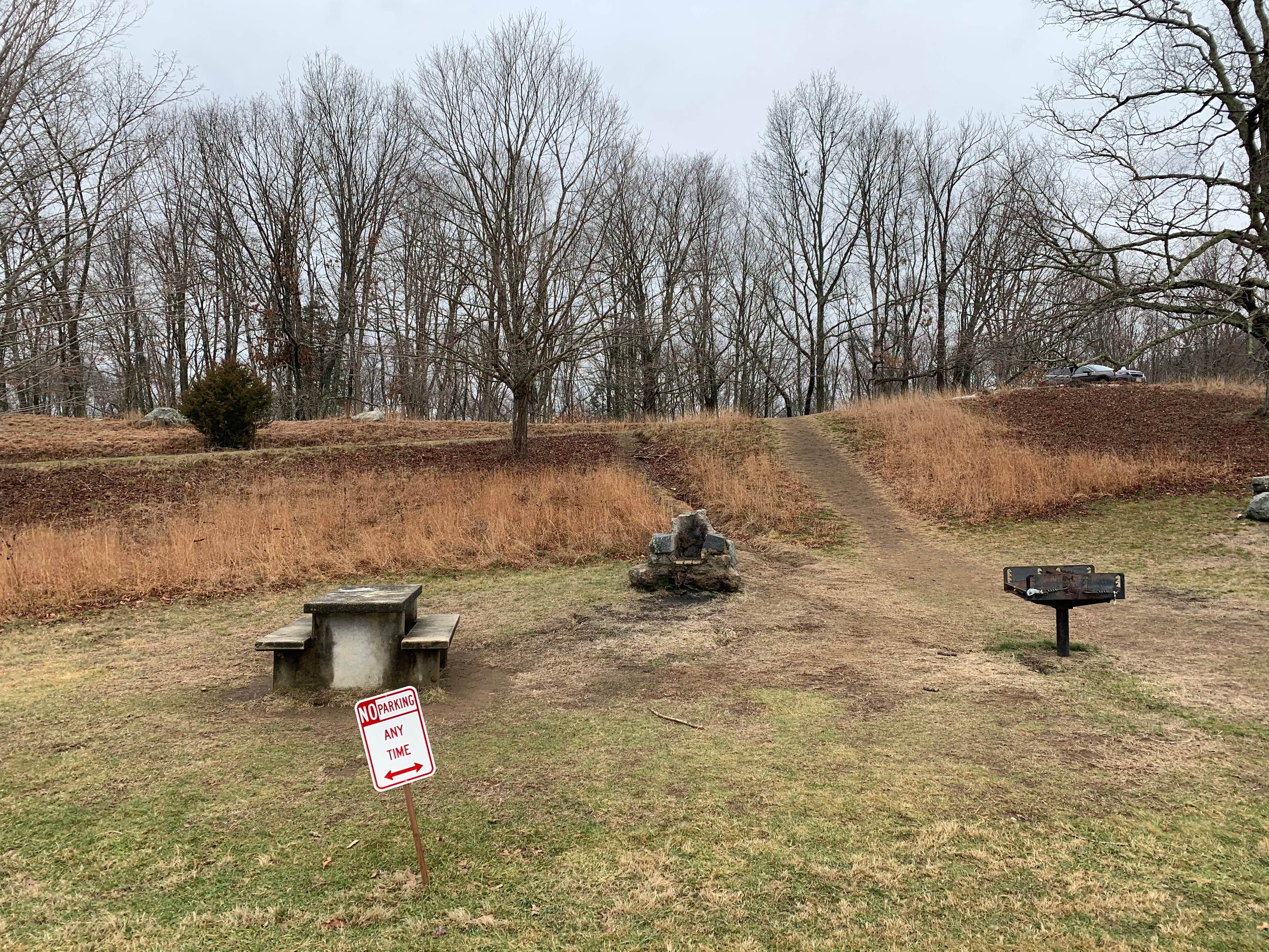 Camper-submitted photo at Ward Pound Ridge Reservation near Greenwich, CT
