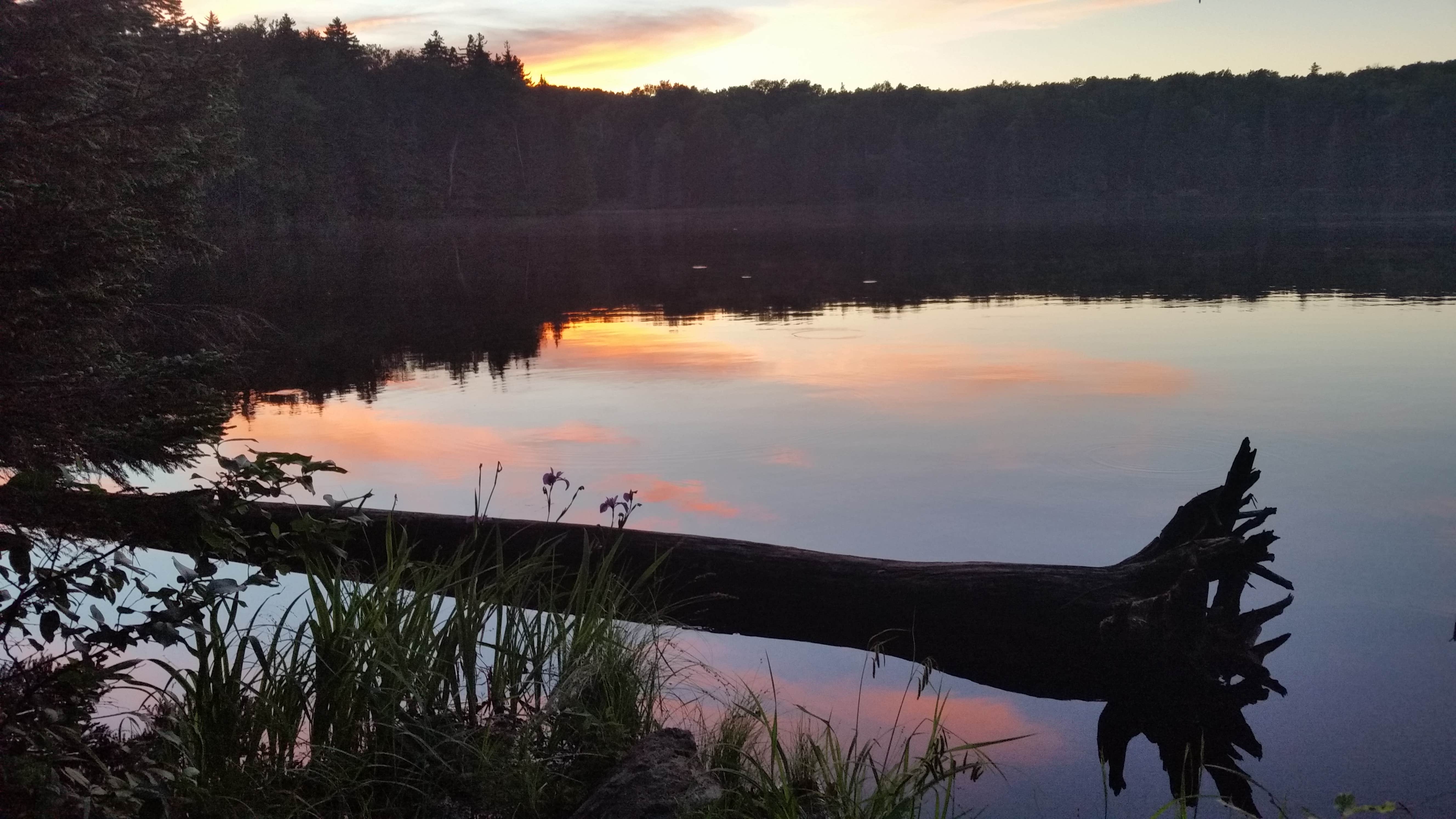 Camper-submitted photo at Woodford State Park Campground near Stillwater, NY