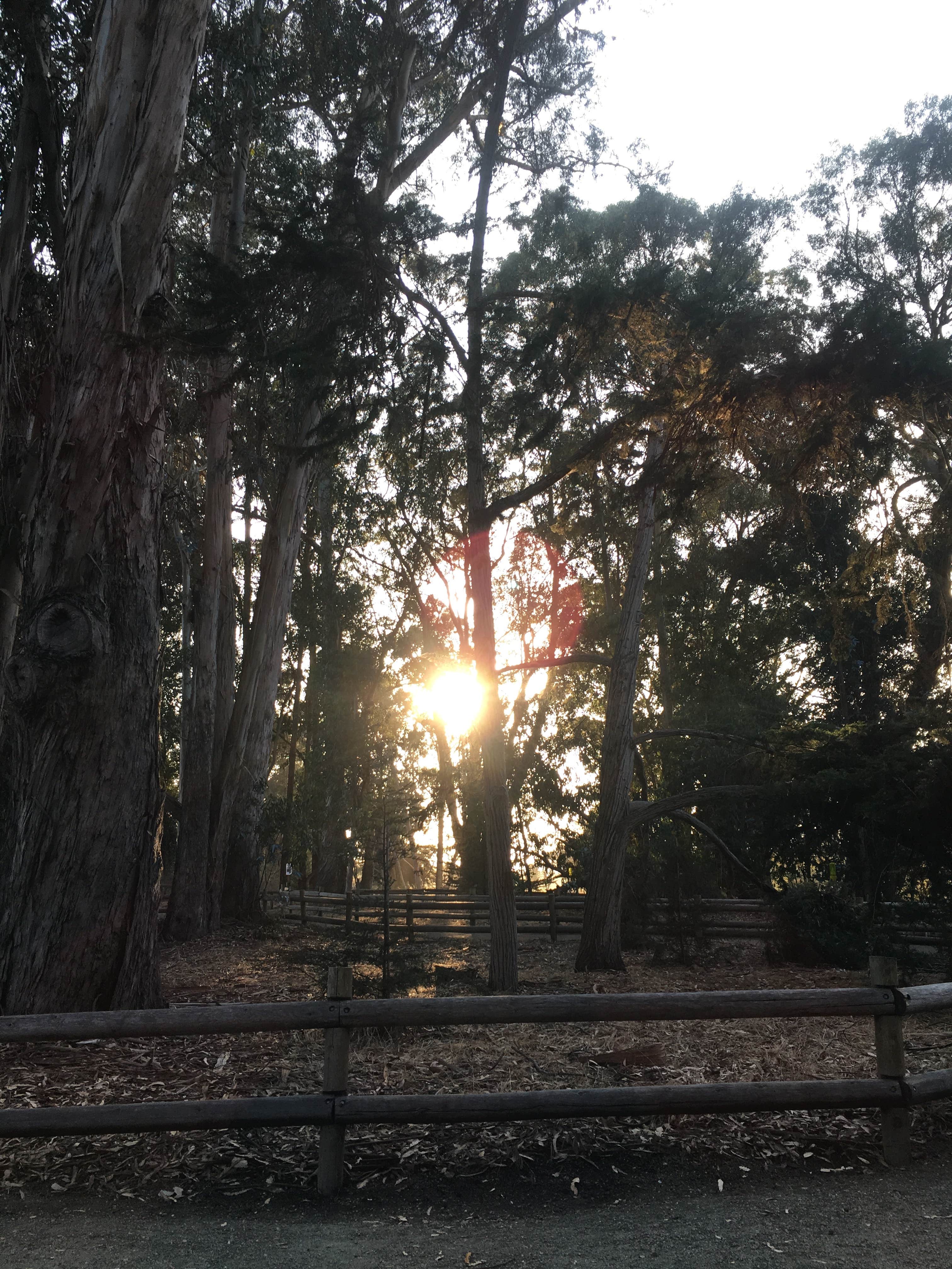 Camping near Santa Maria Fairpark: Le Sage Riviera RV Park, Grover Beach, California