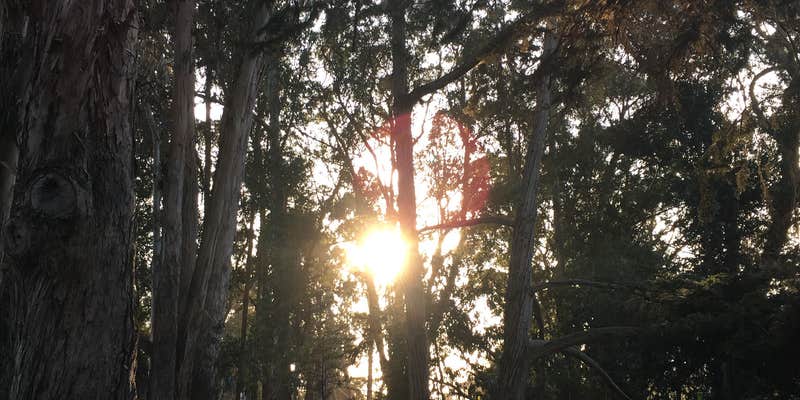 Camper submitted image from Le Sage Riviera RV Park