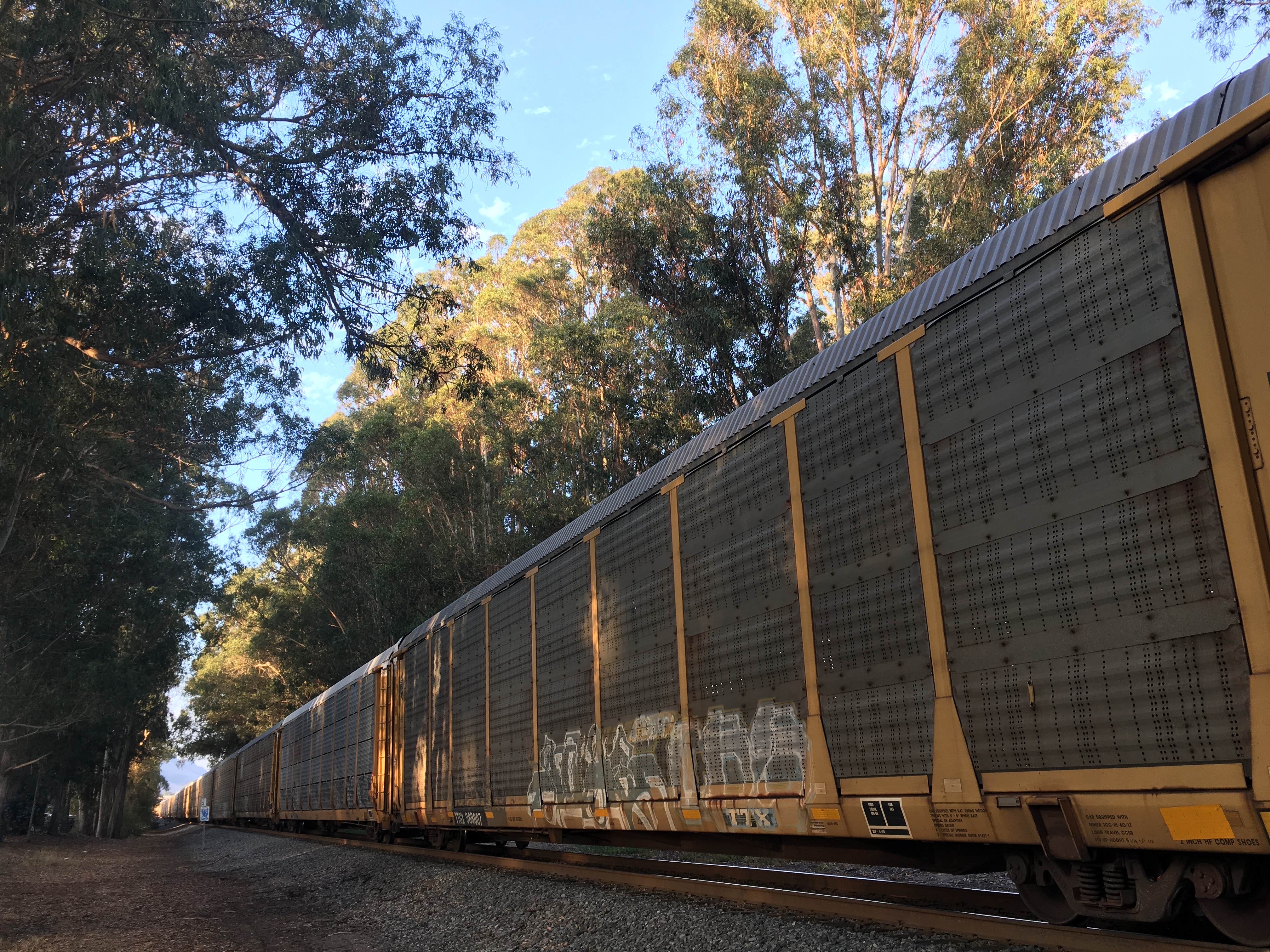 Camper-submitted photo at Le Sage Riviera RV Park near Morro Bay, CA