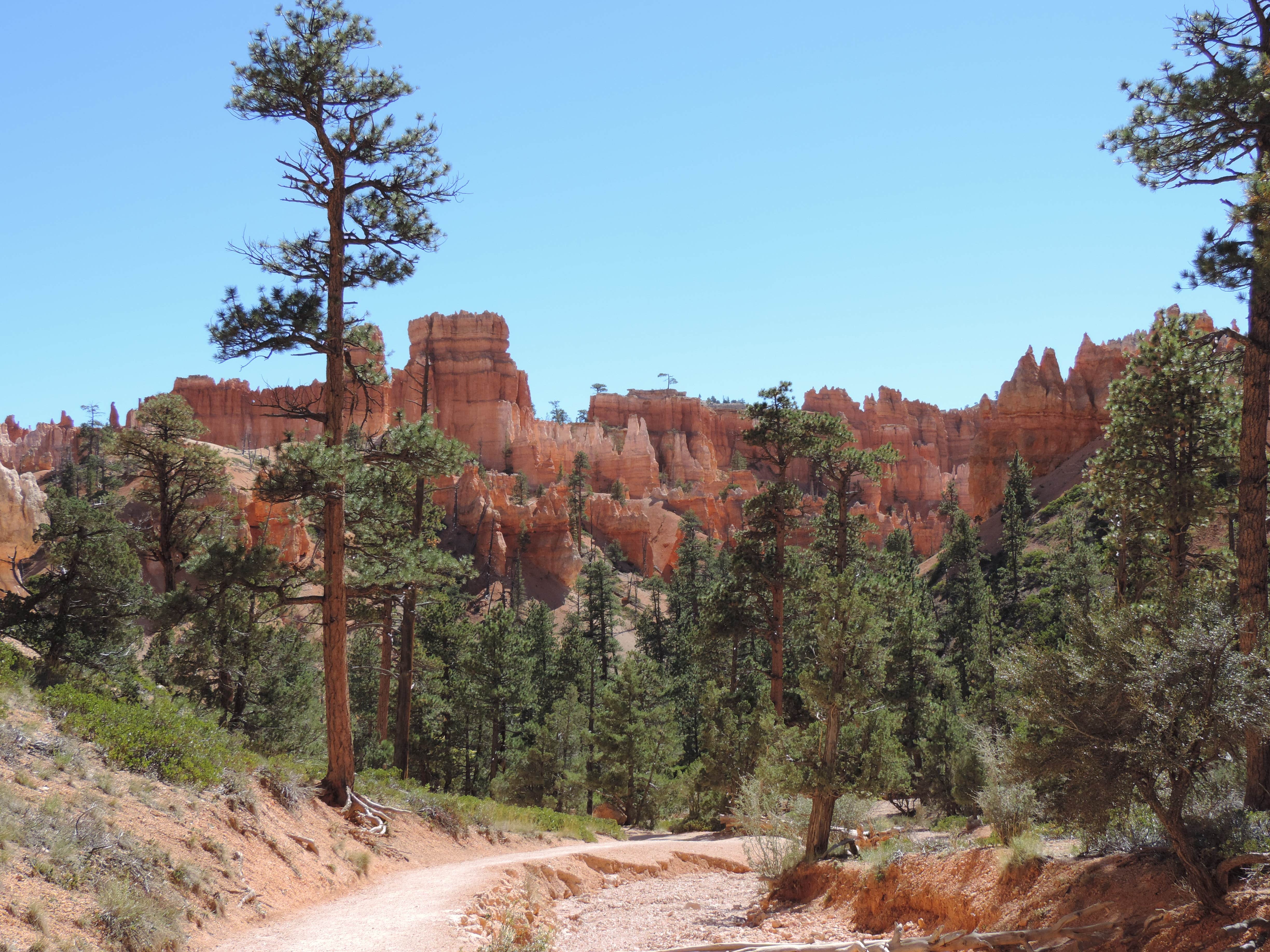 Camper submitted image from Sunset Campground — Bryce Canyon National Park - 4