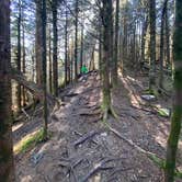 Review photo of Icewater Spring Shelter — Great Smoky Mountains National Park by Asher K., January 1, 2021