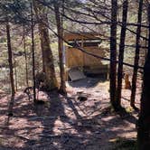 Review photo of Icewater Spring Shelter — Great Smoky Mountains National Park by Asher K., January 1, 2021