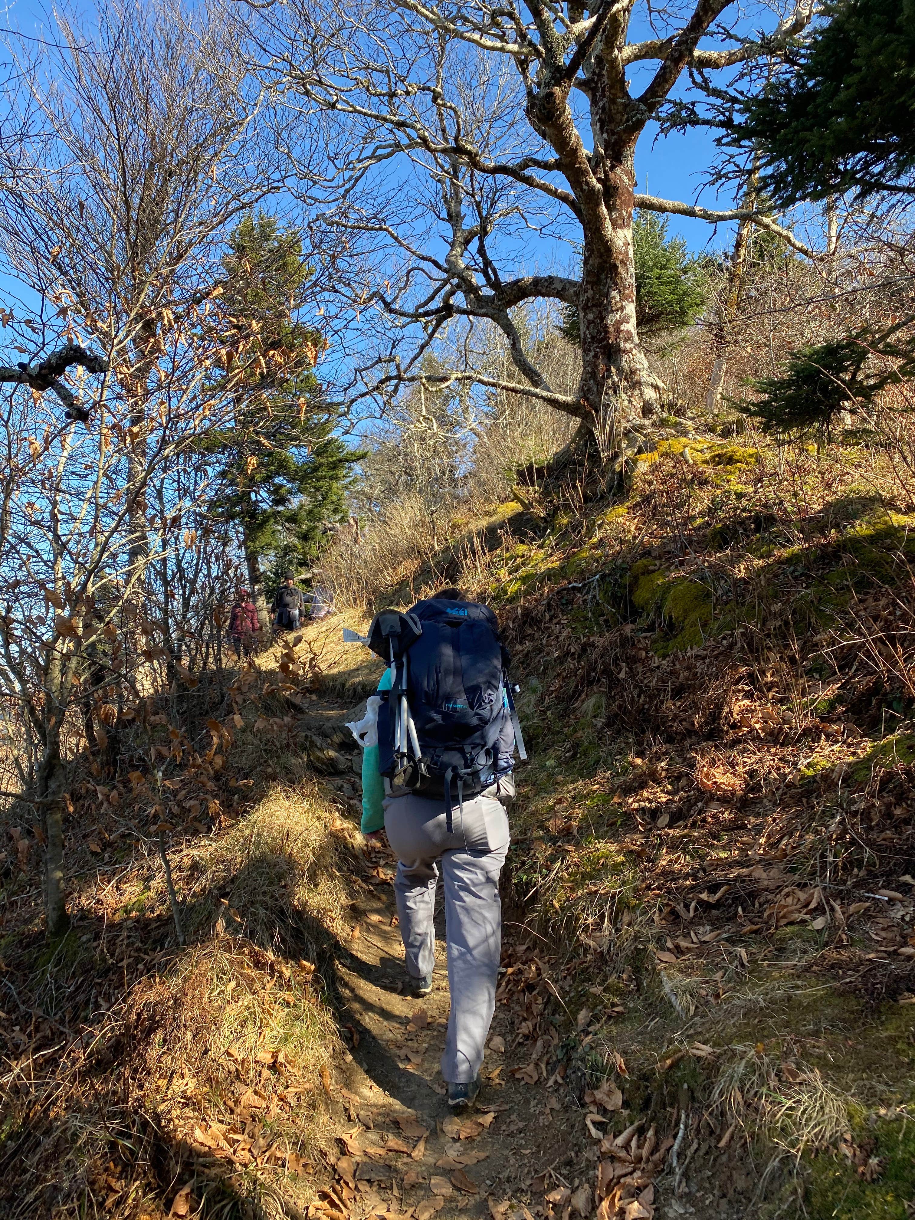 Camper submitted image from Icewater Spring Shelter — Great Smoky Mountains National Park - 1