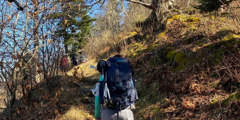 Camper submitted image from Icewater Spring Shelter — Great Smoky Mountains National Park