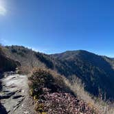 Review photo of Icewater Spring Shelter — Great Smoky Mountains National Park by Asher K., January 1, 2021