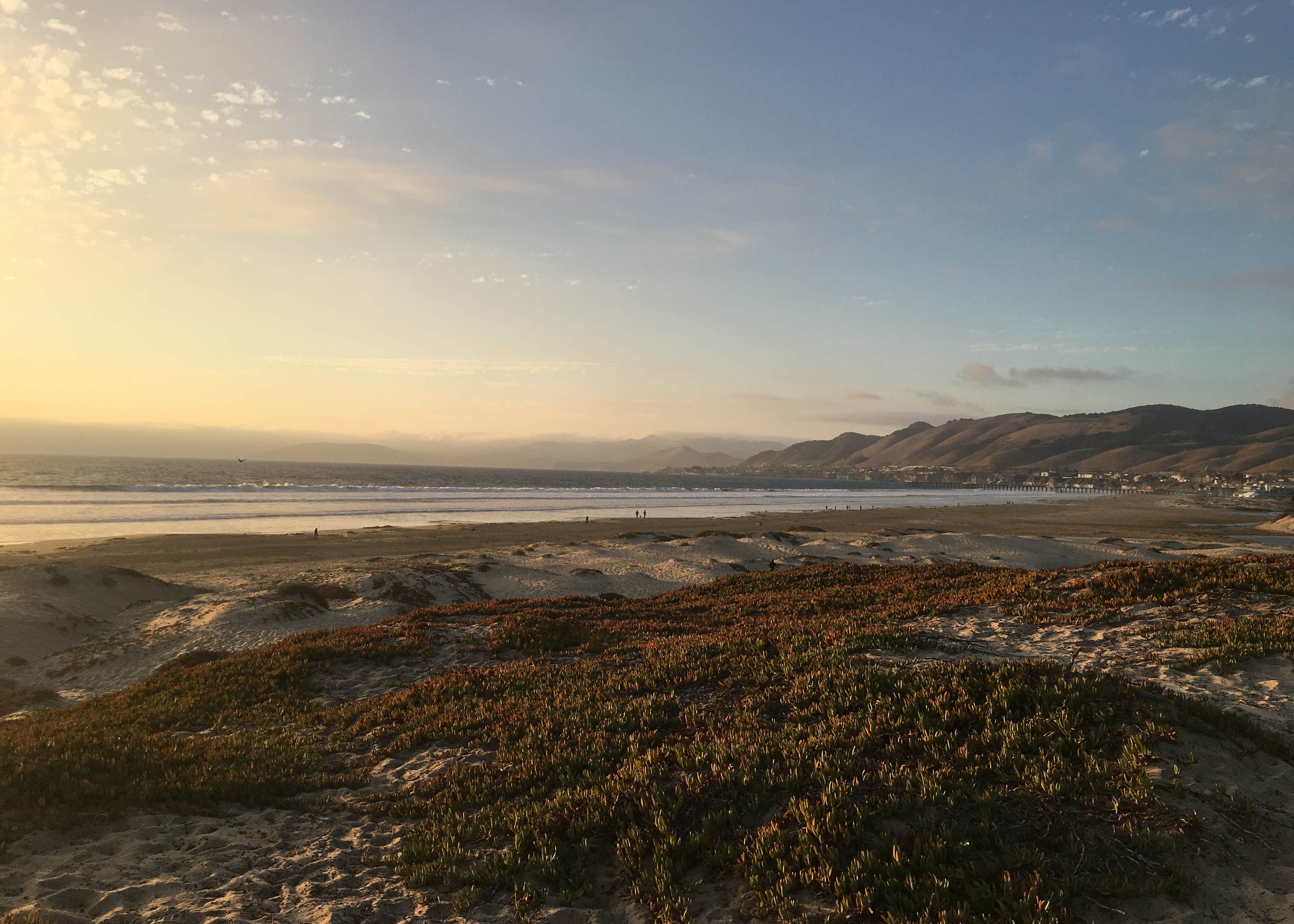 Pismo Dunes Travel Trailer Park Camping The Dyrt