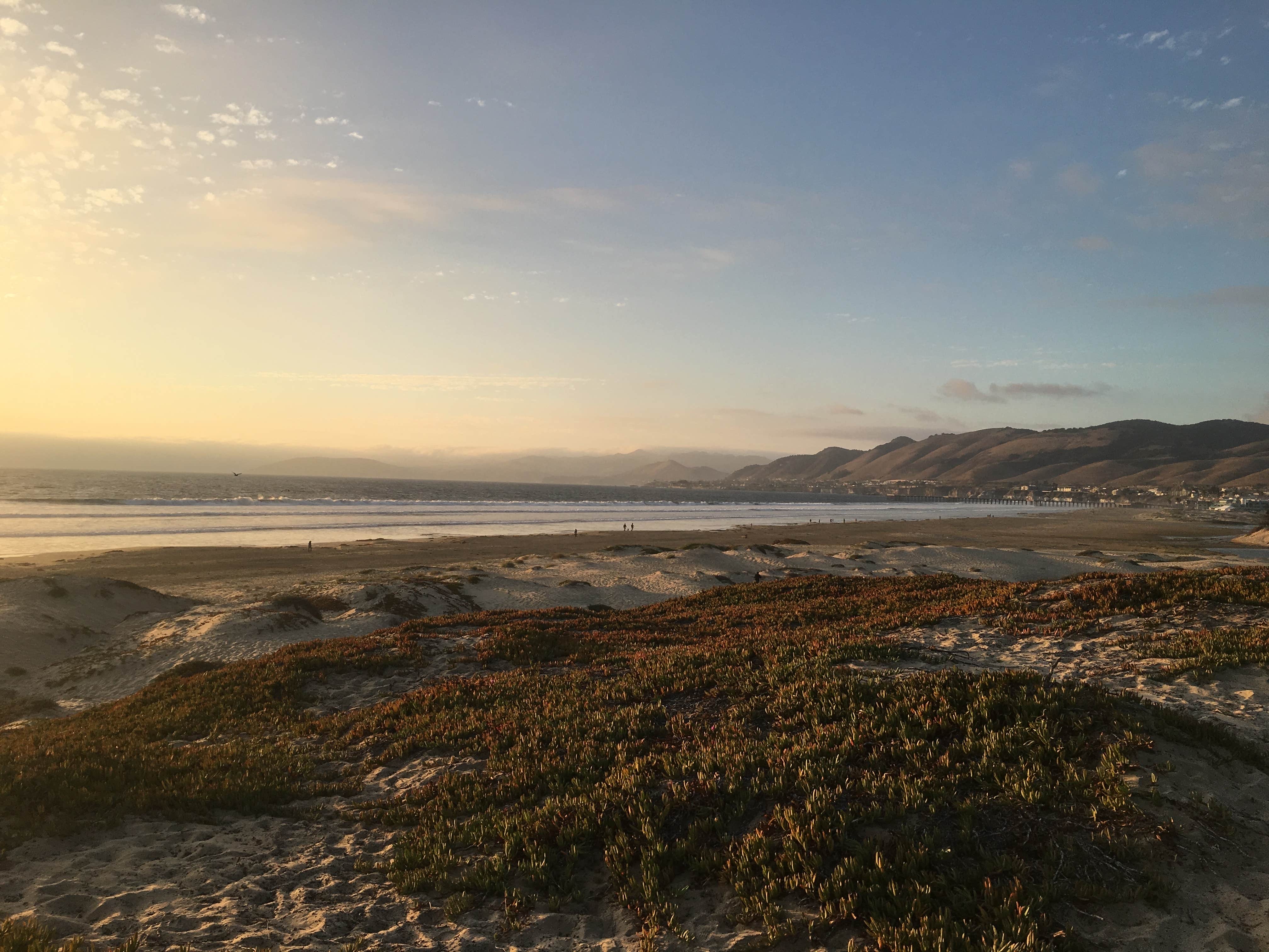 Camper submitted image from Pismo Dunes Travel Trailer Park - 1