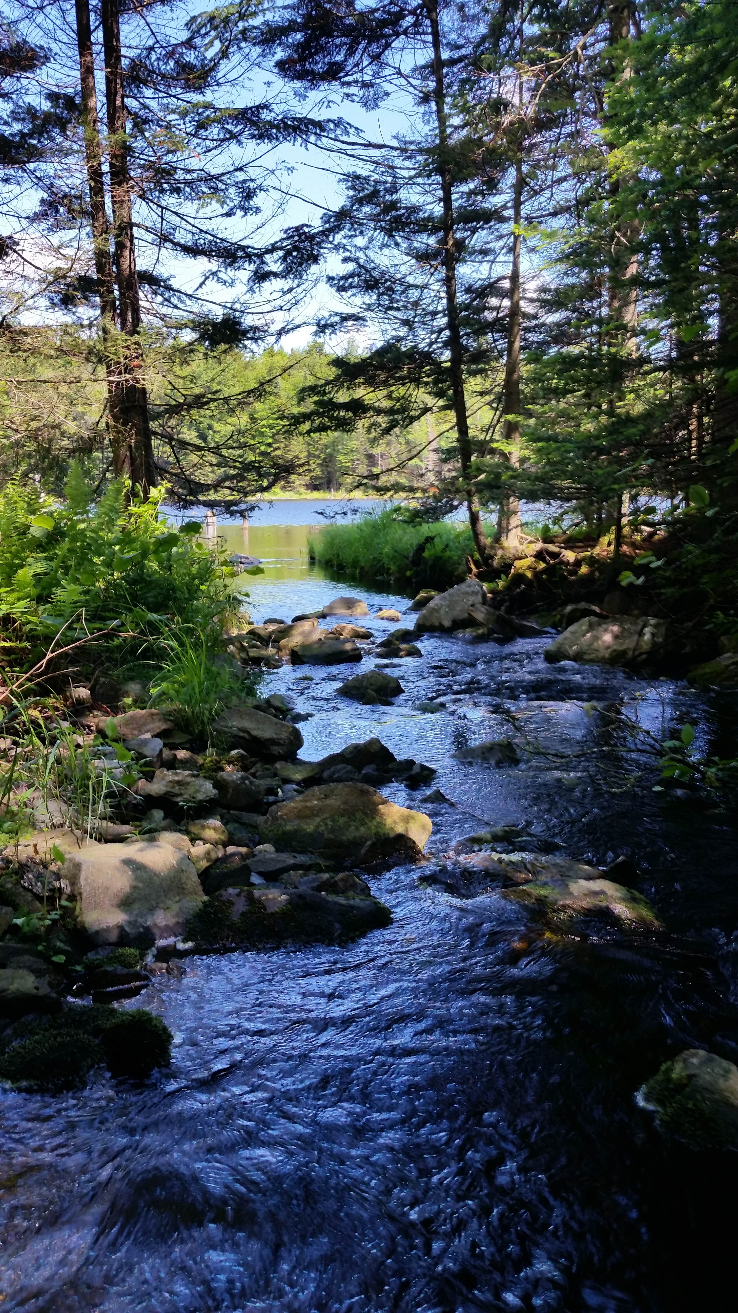 Camper submitted image from Woodford State Park Campground - 1