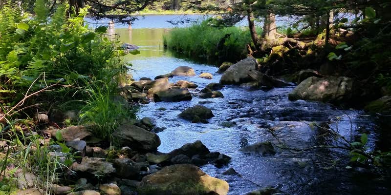 Camper submitted image from Woodford State Park Campground