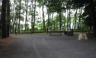 Camping near Tree Farm Campground: Wilgus State Park Campground, Ascutney, Vermont