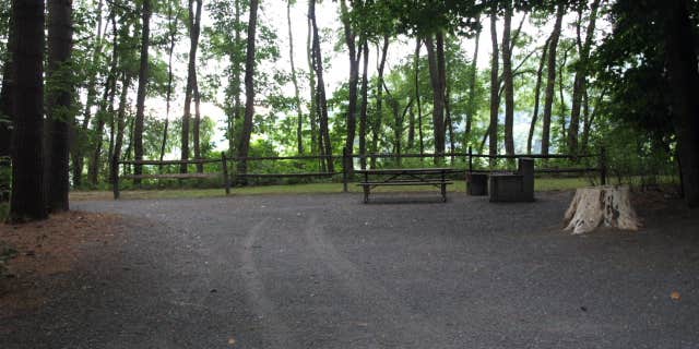 Camper submitted image from Wilgus State Park Campground