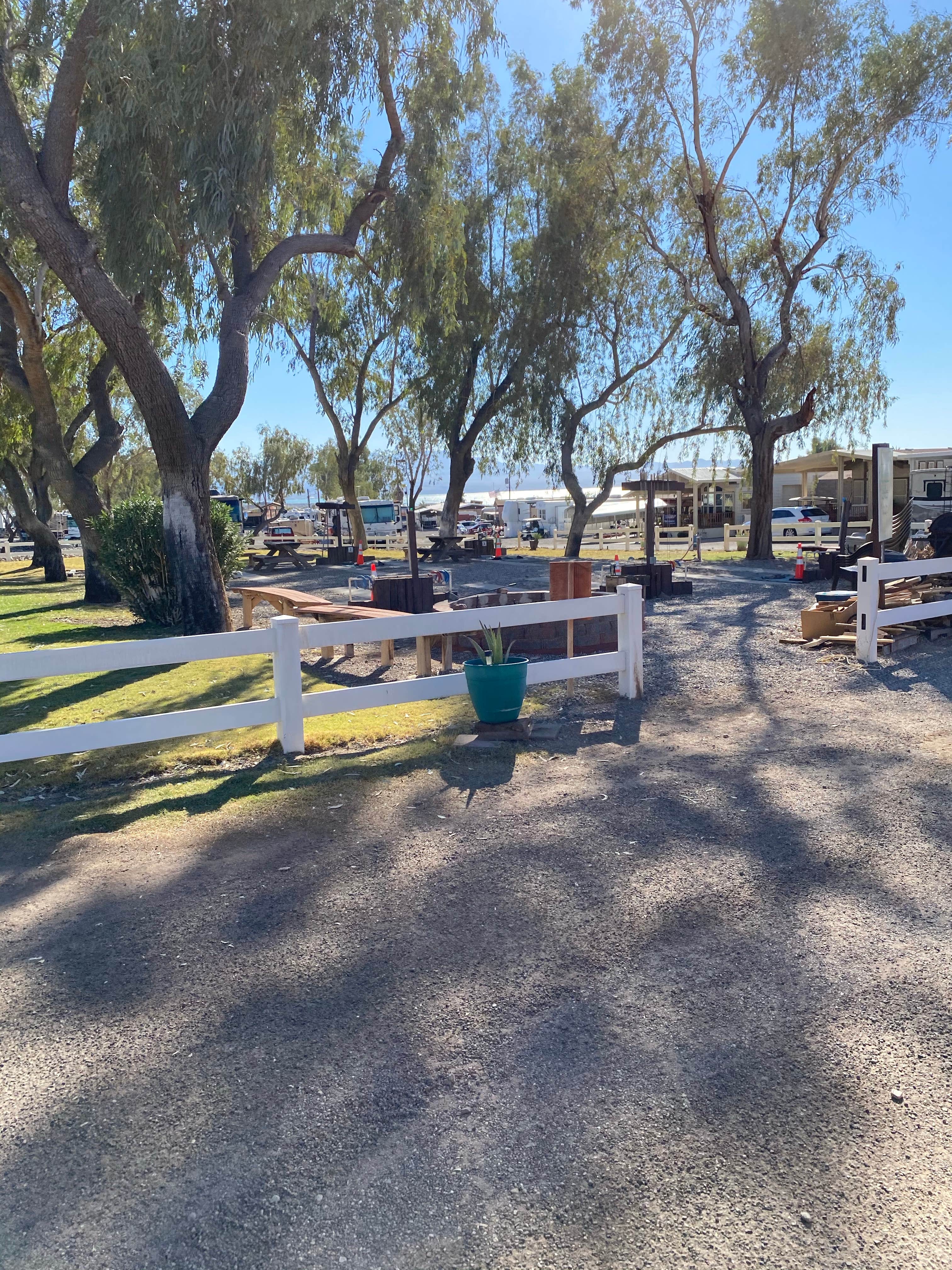 Camper submitted image from Lake Havasu RV Park - 4