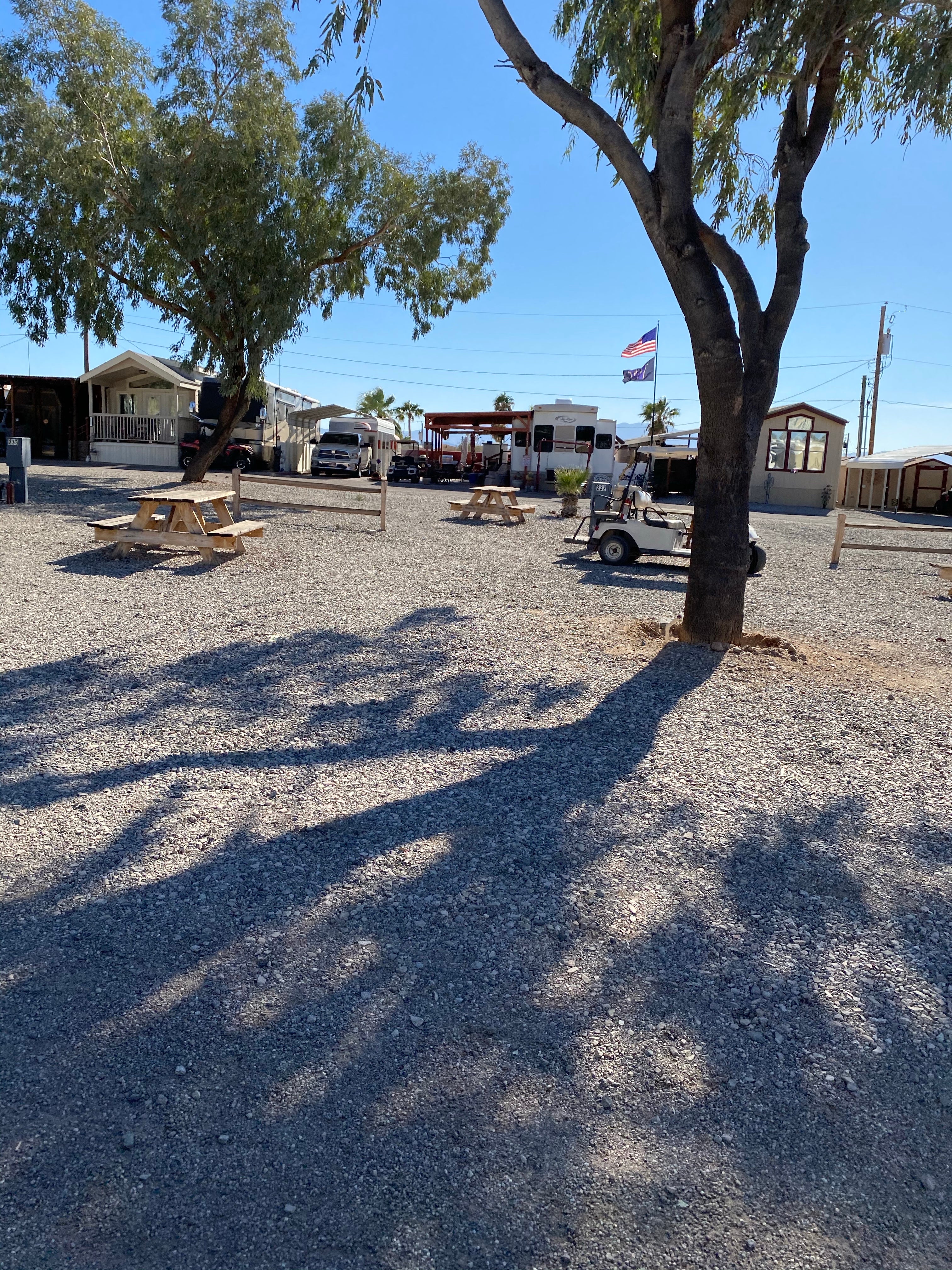 Camper submitted image from Lake Havasu Members Only RV Park - 5