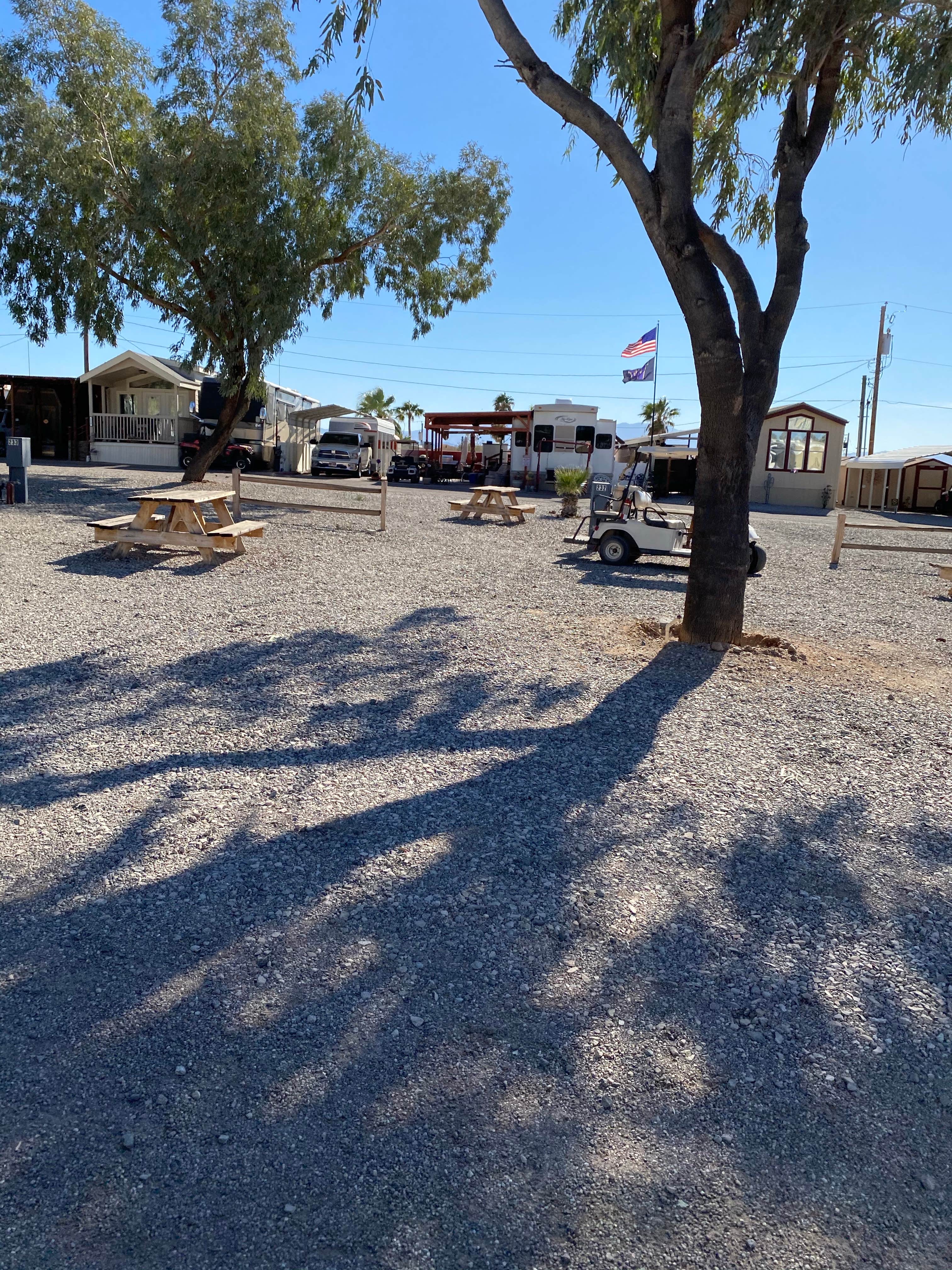 Camper submitted image from Lake Havasu RV Park - 5