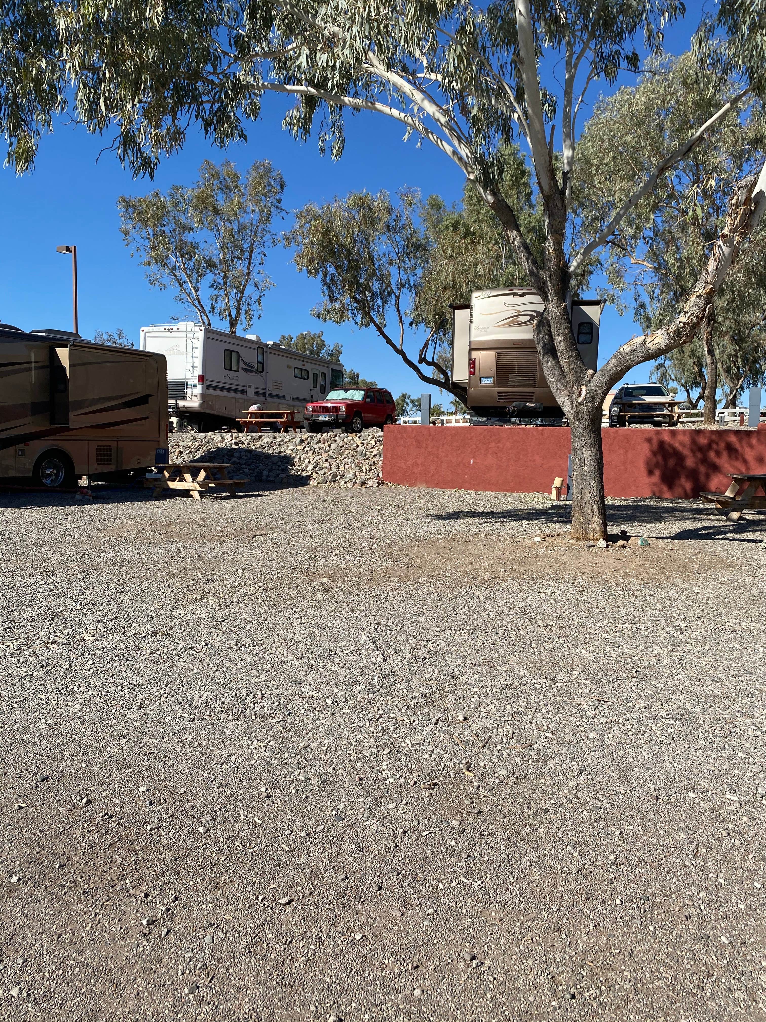 Camper-submitted photo at Lake Havasu Members Only RV Park near Lake Havasu City, AZ